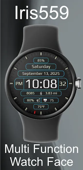 Iris559 Multi-Function Digital screenshot 1