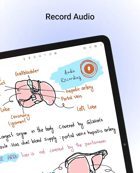 Noteshelf - Notes, Annotations screenshot 13