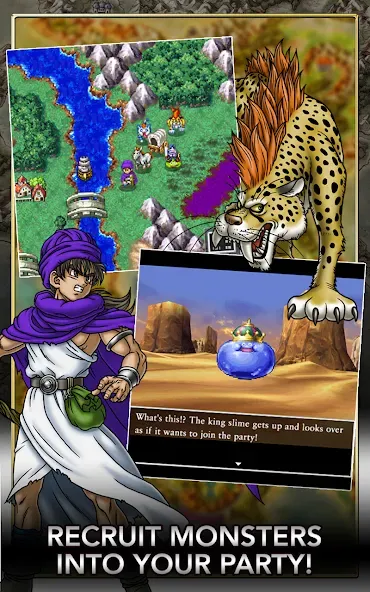 DRAGON QUEST V screenshot 9