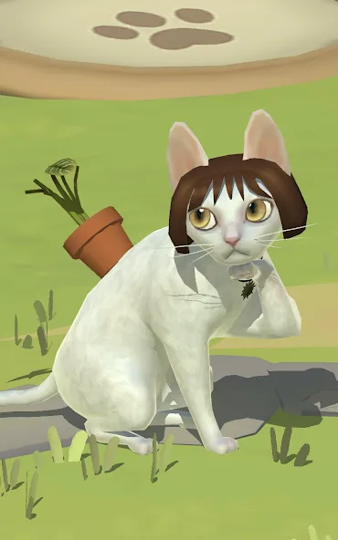 Kitty Cat Resort screenshot 13