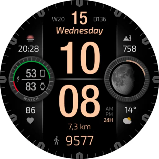 CFS117 Digital screenshot 26