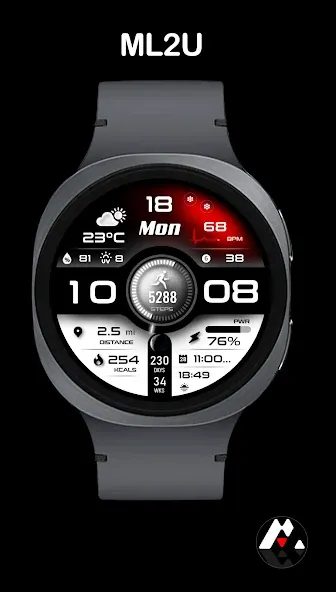 ML2U 293 Watch Face screenshot 1