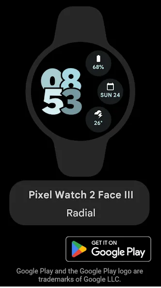 Pixel Watch 2 Face III screenshot 1