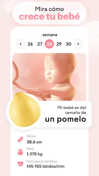 Embarazo semana a semana: amma screenshot 2