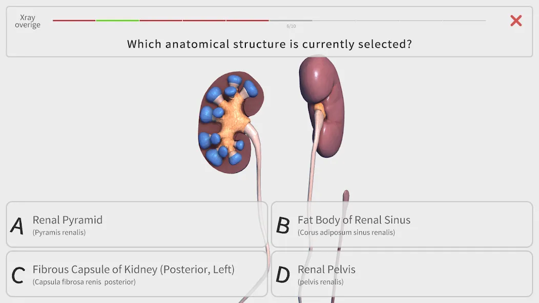Visual Anatomy 3D - Human body screenshot 29