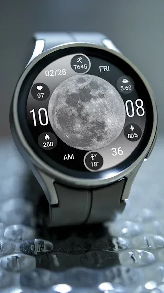 ZKin Watch Face Lunar Widget screenshot 5