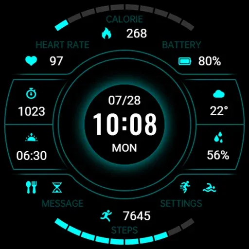 Shimmer Turntable ZKin Watch screenshot 43